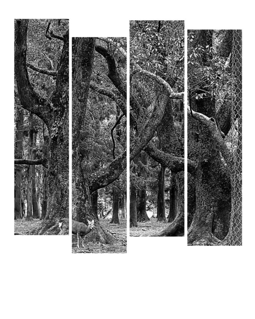 完全不「晉」責書評