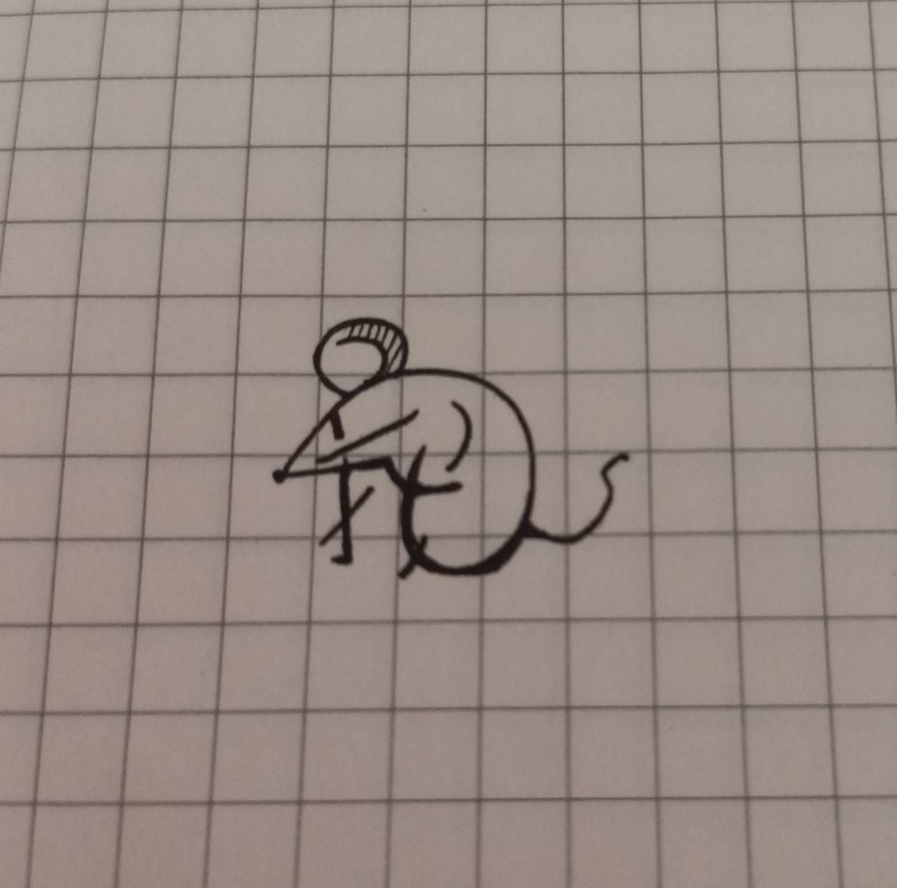 鼠