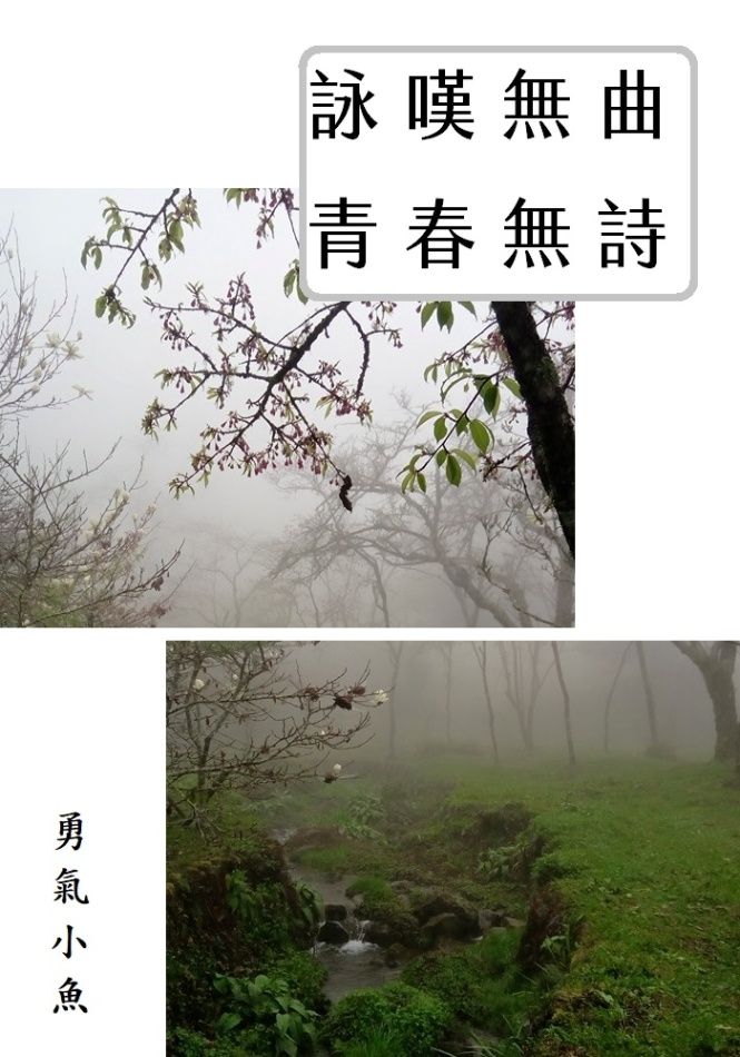 詠嘆無曲，青春無詩