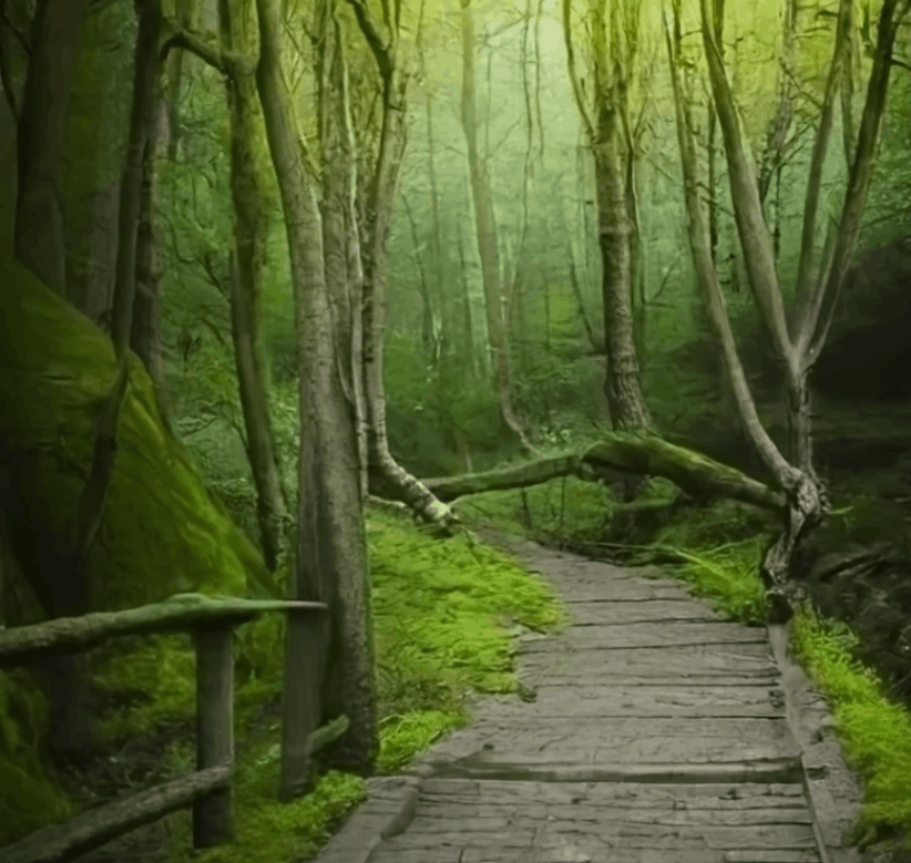 林中畫師與遊廓女的見妖行